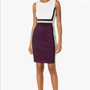 Calvin Klein Sleeveless Colorblock Sheath Dress